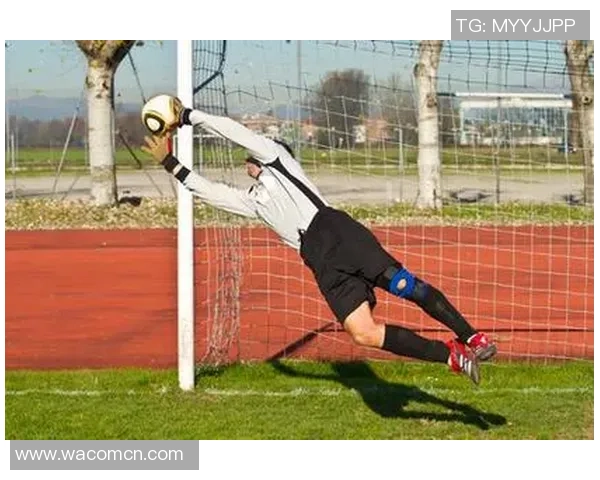 南宁足球黄蜂崛起之路探索团队精神与技术结合的成功之道